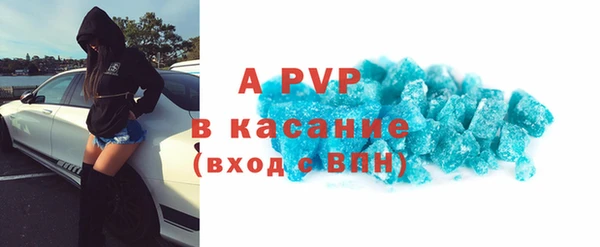 стаф Алексин