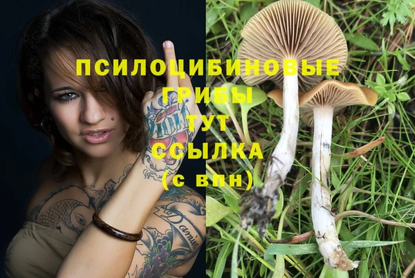 стаф Алексин