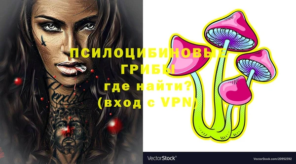 круглые Алексеевка
