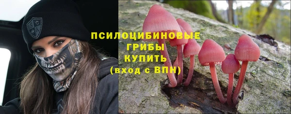 стаф Алексин